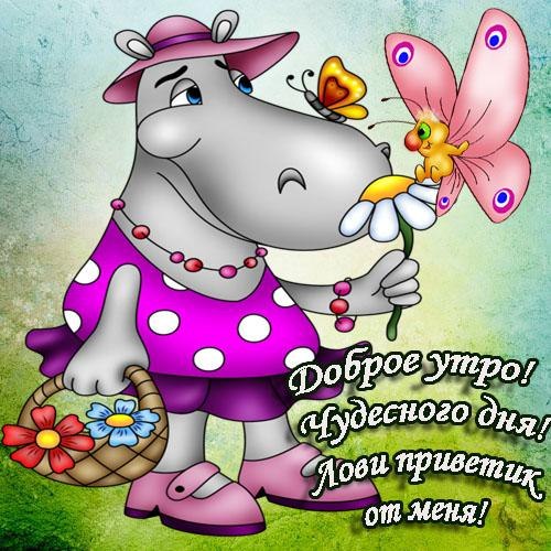 Открытка с пожеланиями доброго утра на каждый день скачать бесплатно 