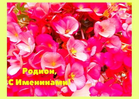 Открытки с именем Родион скачать бесплатно. Поздравительные открытки с именем...