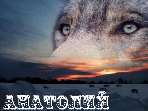 Картинки с именем Анатолий скачать бесплатно. Открытки с именем Толик.