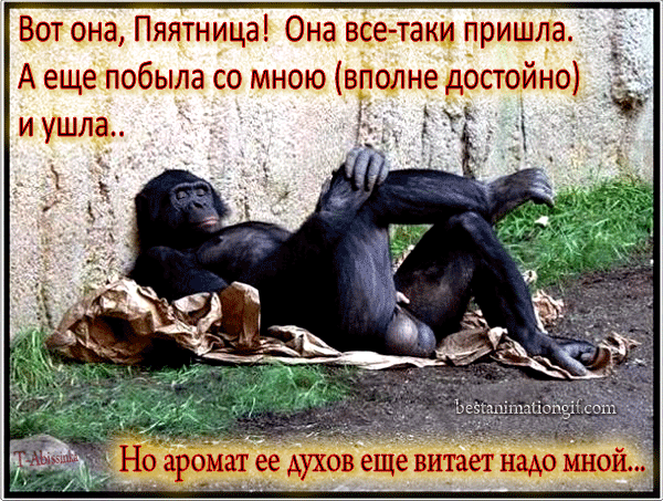 Прикольные открытки на пятницу. Открытки с пожеланиями на пятницу скачать бес...