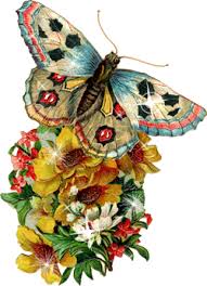 Мерцающие открытки с бабочками. Открытки с красивыми бабочками скачать беспла...