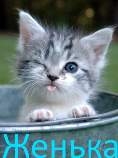 Открытки с именем Евгений gif. Открытки с днём рождения Женя. Открытки с имен...