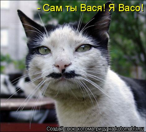 Анимационные открытки с именем Василий. Открытки с днём рождения Вася.