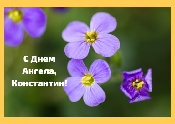 Открытки с именем Константин gif. С днём рождения Костя открытки. Открытки с ...