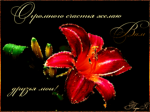 Красивые открытки для любимых друзей. Открытки о дружбе скачать бесплатно.