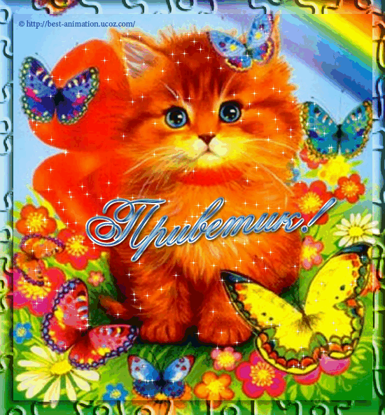 Мерцающие открытки с бабочками. Открытки с красивыми бабочками скачать беспла...