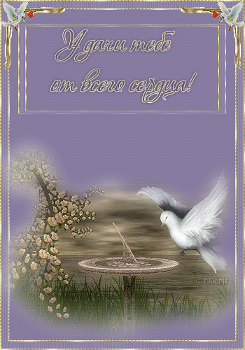 Открытки желаю удачи скачать бесплатно. Красивые открытки с пожеланиями удачи.