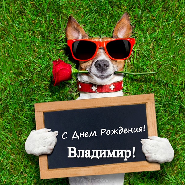 Открытки Открытки с именем Владимир скачать бесплатно. Открытки с мужскими именами онлайн.  Прикольные открытки с именем Владимир. Открытки с днем ангела Владимир. Мерцающие открытки с именем Владимир. Открытки с приколами про имя Вовчик. Поздравительные открытки с именами.