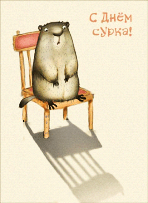 Веселые открытки с приколами на день сурка скачать бесплатно