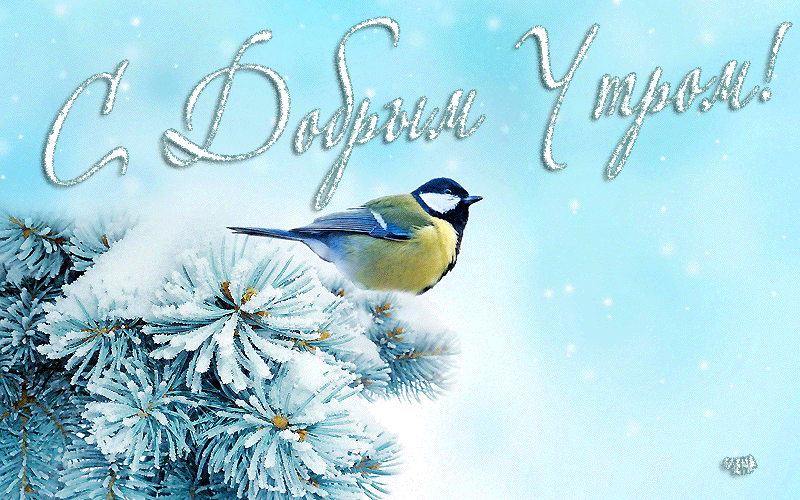 Открытка с пожеланиями доброго утра на каждый день скачать бесплатно 