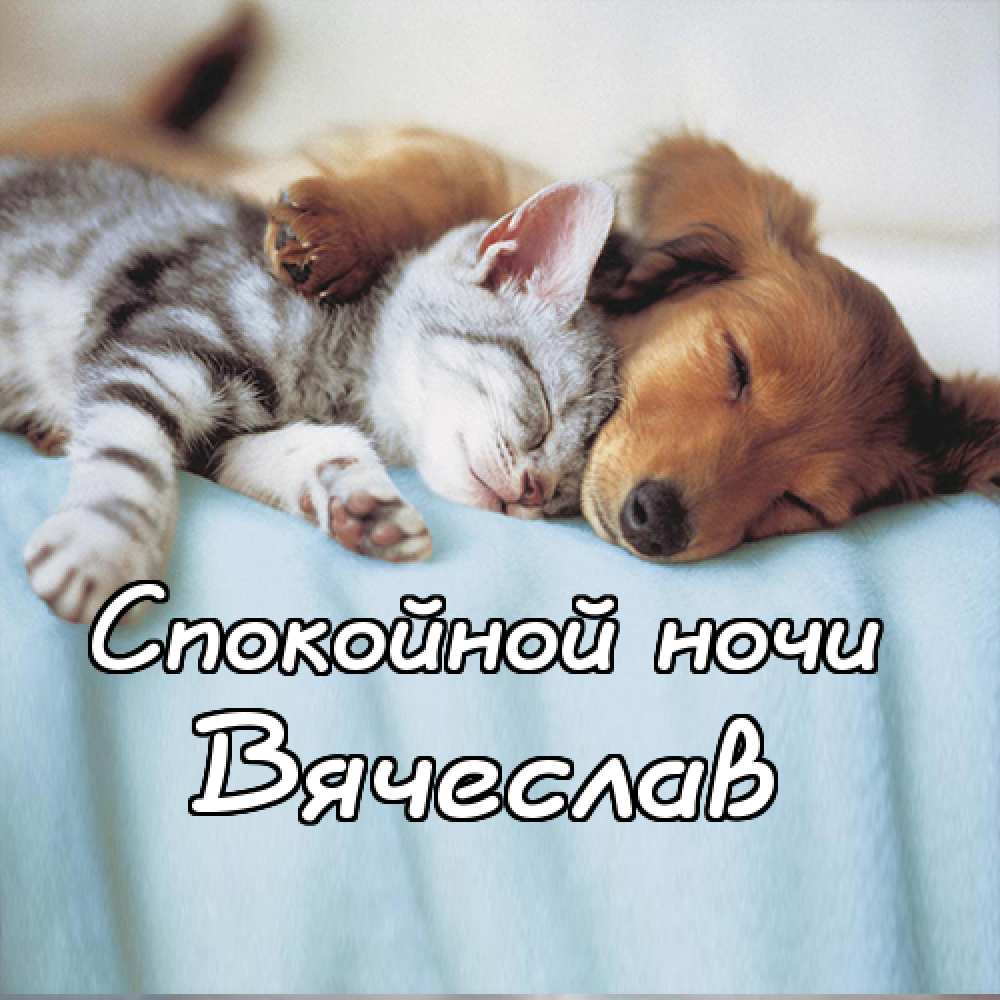 Открытки с именем Вячеслав скачать бесплатно. Открытки с днём рождения Слава. 