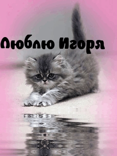 Открытки с именем Игорь скачать бесплатно. Анимационные открытки с именем Иго...