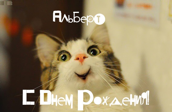 Красивые открытки с именем Альберт. Открытки с днем рождения Альберт.
