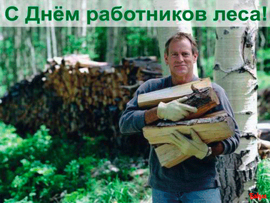 Открытки с днём работника леса с поздравлениями. Красивые открытки на день лесника.