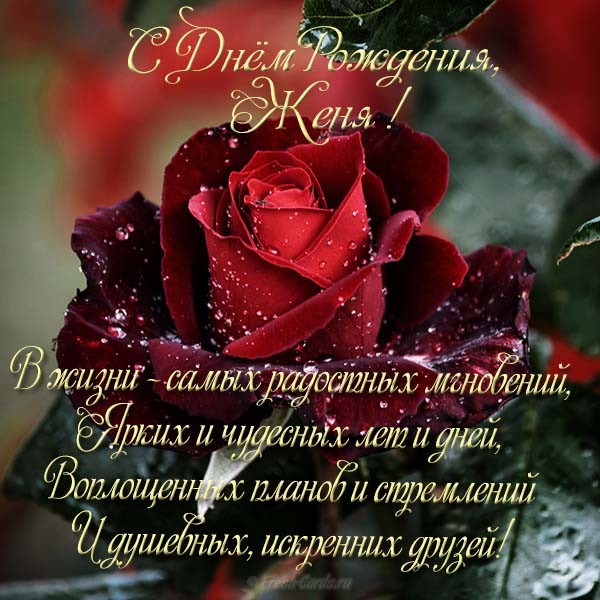 Открытки с именем Евгений gif. Открытки с днём рождения Женя. Открытки с имен...