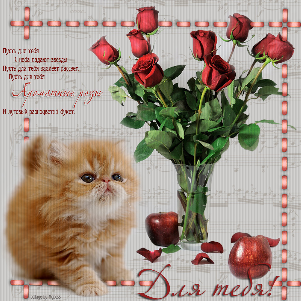 Красивые открытки для тебя скачать бесплатно. Анимационные открытки тебе gif