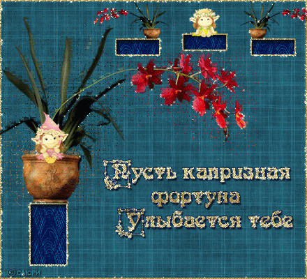 Открытки желаю удачи скачать бесплатно. Красивые открытки с пожеланиями удачи.