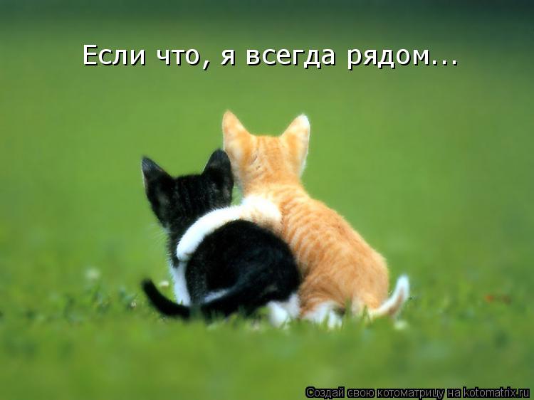 Открытки я всегда буду рядом. Открытки я рядом с тобой скачать бесплатно.