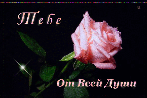 Красивые открытки для тебя скачать бесплатно. Анимационные открытки тебе gif