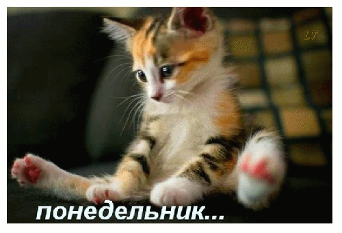 Открытки с наилучшими пожеланиями на понедельник. Открытки на понедельник ска...