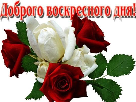 Мерцающие открытки про воскресенье. Открытки на воскресное утро.