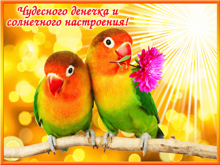 Позитивные открытки с пожеланиями хорошего настроения скачать бесплатно.