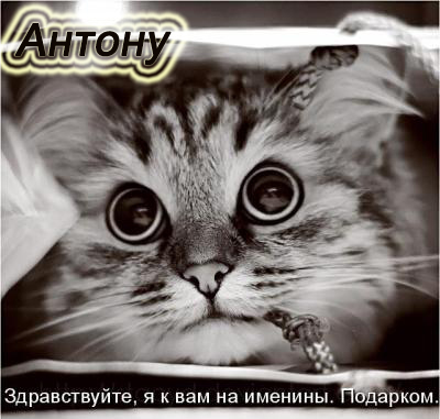 Открытки с именем Антон скачать бесплатно. Поздравительные открытки с именем ...