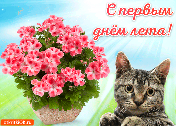Открытки с первым днем лета скачать бесплатно. Поздравления с началом лета.