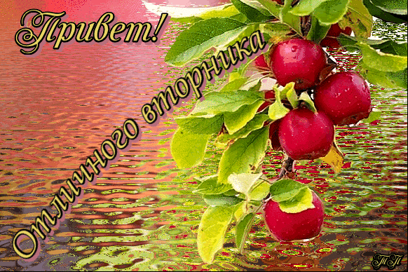 Позитивные открытки на вторник. Картинки про вторник скачать бесплатно.