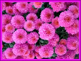 Открытки с цветами на день рождения. Картинки с букетом цветов. 