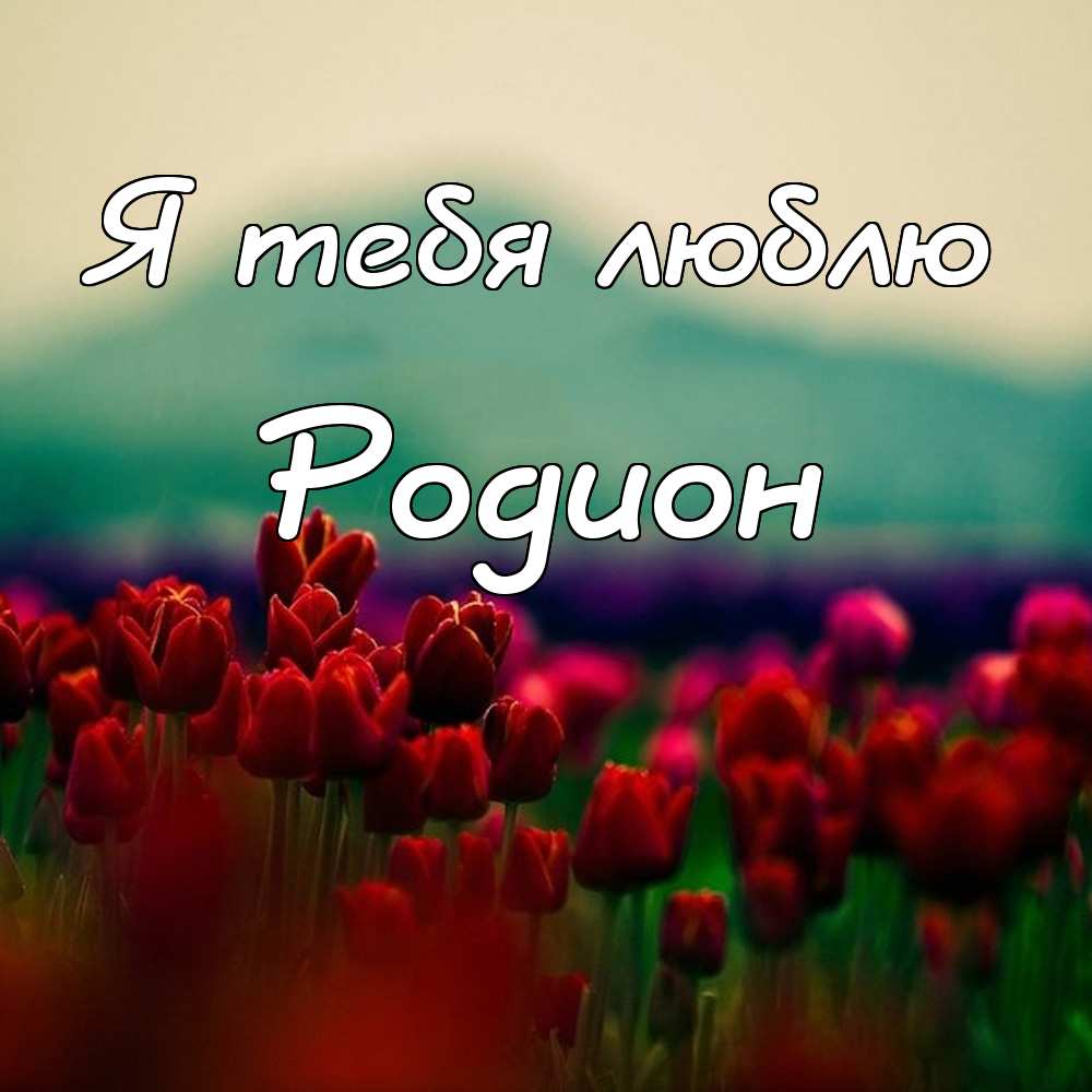 Открытки с именем Родион скачать бесплатно. Поздравительные открытки с именем...