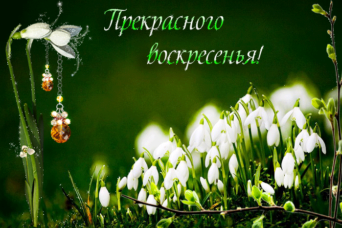 Открытки с пожеланиями хорошего отдыха. Красивые открытки отличного отпуска.