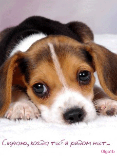 Анимационные открытки скучаю по тебе. Открытки я так скучаю скачать бесплатно.