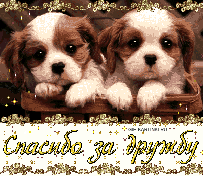 Красивые открытки для любимых друзей. Открытки о дружбе скачать бесплатно.