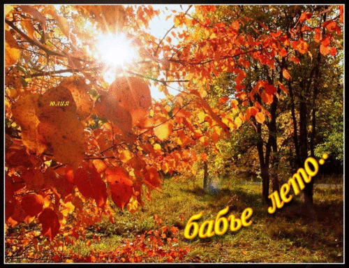 Поздравительные открытки с Бабьим Летом. Анимационные открытки на Бабье Лето. 