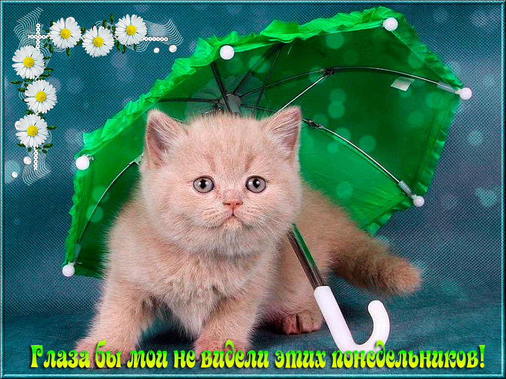 Открытки с пожеланиями легкого понедельника скачать бесплатно.