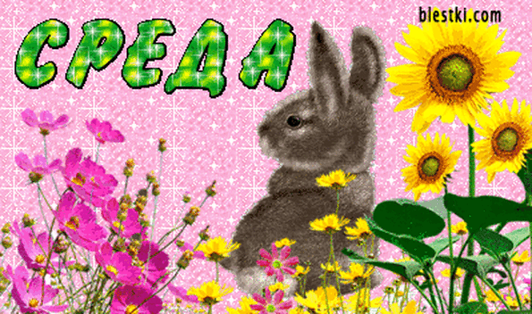 Открытки с пожеланиями отличной среды. Красивые открытки на среду.