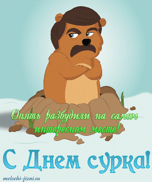 Веселые открытки с приколами на день сурка скачать бесплатно