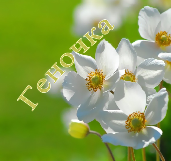 Открытки с днём рождения Гена. Открытки с именем Геннадий скачать бесплатно.