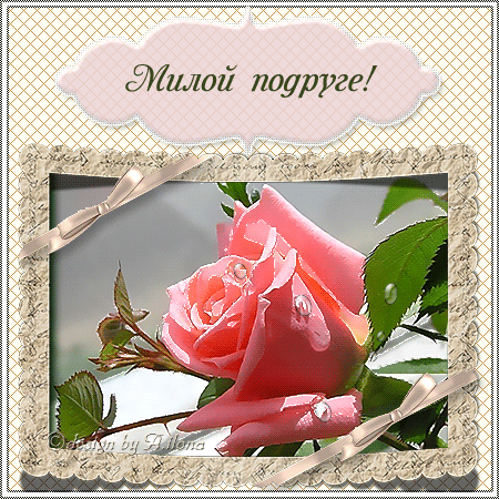 Красивые открытки для любимых друзей. Открытки о дружбе скачать бесплатно.