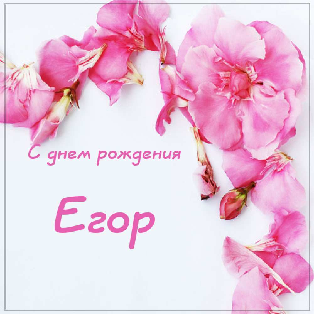 Прикольные открытки с именем Егор. Открытки с именем Егор скачать бесплатно. 