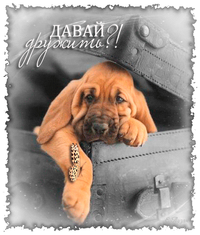 Красивые анимационные открытки давай дружить скачать бесплатно.