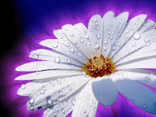 Открытки на тему осени скачать бесплатно. Анимационные открытки про лето.