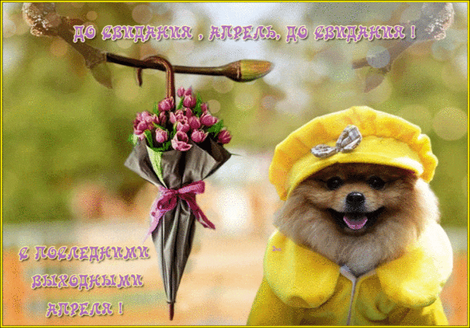 Открытки с последним днем весны gif. Красивые анимированные открытки на конец...