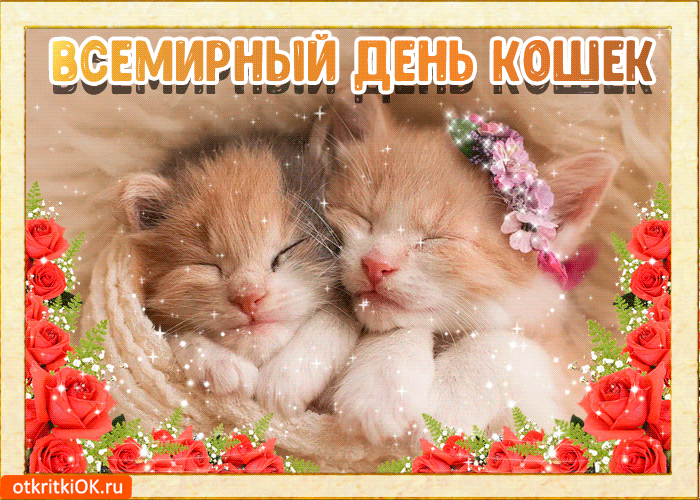 Скачать бесплатно прикольные открытки с днем кошек. Открытки с днем кошек gif.