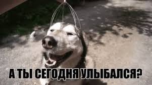 Весёлые открытки с пожеланиями улыбнись. Открытки с улыбкой скачать бесплатно.