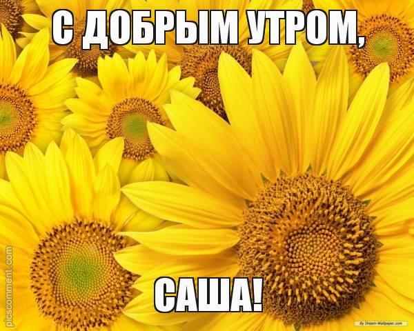 Открытки с именем Александра скачать бесплатно. Поздравительные открытки с им...