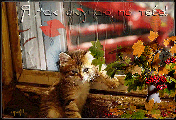 Открытки я жду тебя gif. Открытки возвращайся скорее скачать бесплатно.