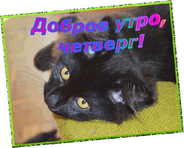 Анимационные открытки доброго утра и отличного четверга скачать бесплатно.