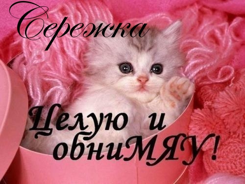 Поздравительные открытки с именем Сергей. С днём рождения Серёжа открытки ска...